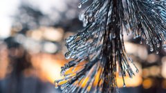 Первый снежный покров в Москве появится 15-16 ноября