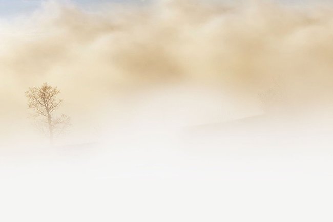 15 марта Оренбуржье накроет туман и резко понизится температура воздуха