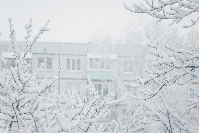 Фото: Валентина Перфильева / Shutterstock