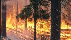 МЧС в Иркутской области ликвидирует пожары в пяти СНТ