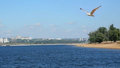 пляж Волгоград 