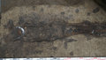 В Югре нашли могилу члена семьи вождя возрастом 1,5 тысячи лет