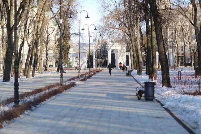 8 марта в Воронежской области похолодает до −14