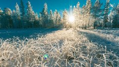 В Карелию придут двадцатиградусные морозы со снегопадами