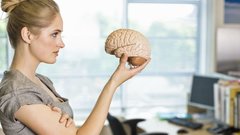 Научные исследования раскрыли природу человеческого интеллекта