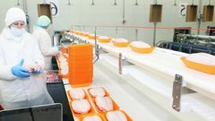 Компания «Мираторг» опровергла слухи о заражении куриного мяса сальмонеллой