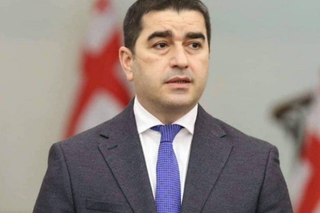 Спикер парламента Грузии Шалва Папуашвили