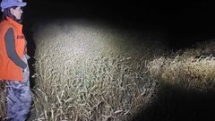Пропажа шестилетнего мальчика у реки Егорлык в Ставрополье