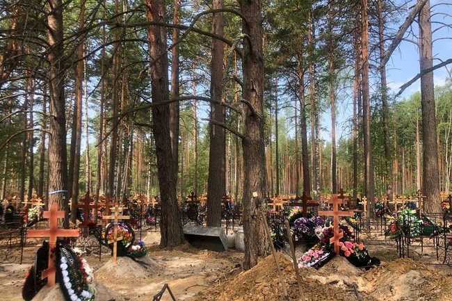 В Краснодаре на 40% благоустроили Всесвятское кладбище