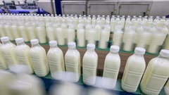 Три компании из Ростова попали в список лучших производителей продуктов питания