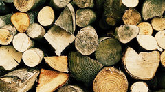 Охлаждение жилищного рынка Китая повлияло на экспорт леса из Приморья