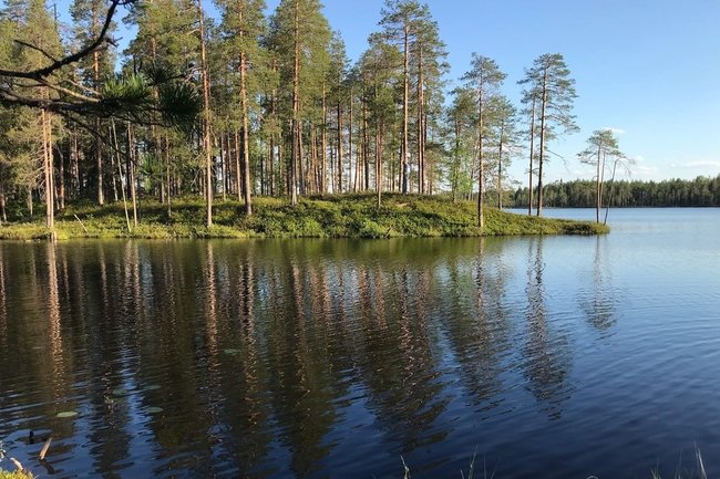 Карелия озеро водоем