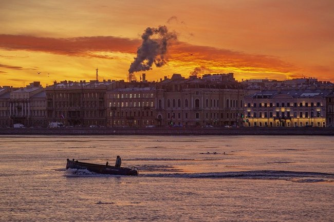 В Петербурге озвучили число горожан с психическими отклонениями