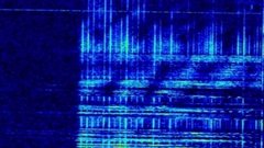Третье сообщение радиостанции «Судного дня» в течение дня