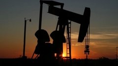 Newswire: Шри-Ланка обратилась к России за помощью в поставках энергетических ресурсов