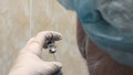 вакцина вакцинирование коронавирус ковид прививка