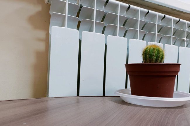 отопительная система, холод, кактус