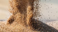 Евросоюз ввел запретительные пошлины на российское зерно
