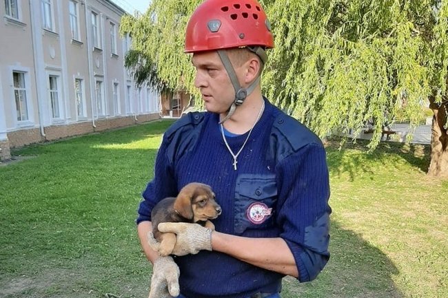 В Лабинске спасатели достали щенка из ямы, где он провел 1,5 месяца