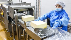 Экспорт молочной продукции из России демонстрирует значительный рост доходов