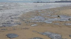 Новый разлив нефтепродуктов найден рядом с Анапой