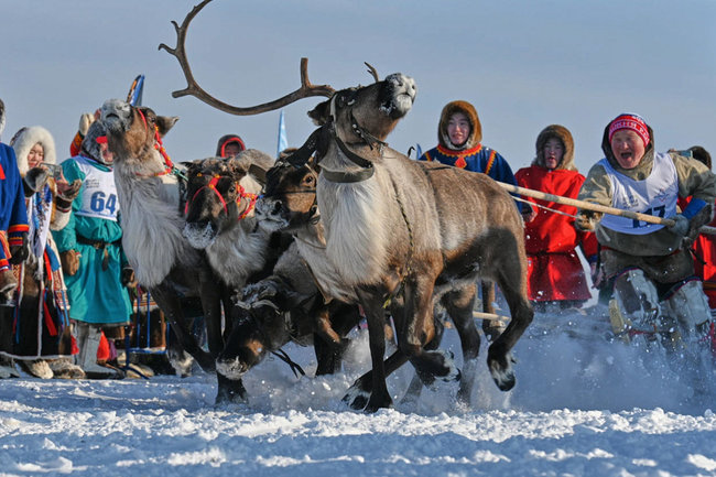 Авиакомпания «Ямал» запустила дополнительные рейсы ко Дню оленевода