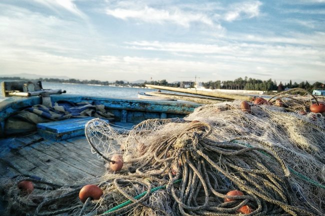 рыболовная сеть