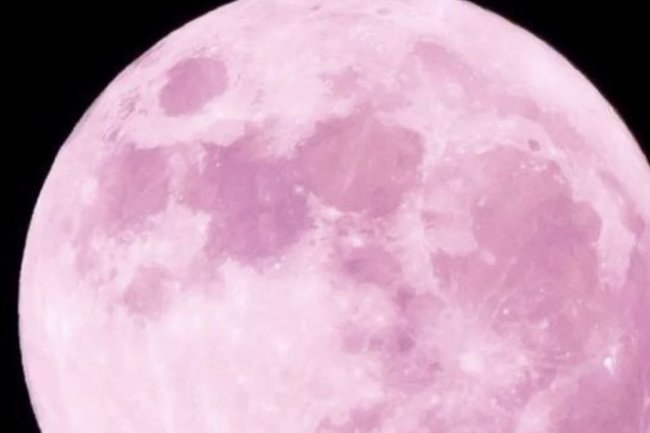 Розовая луна