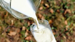 Специалист по питанию раскрыла преимущества одного продукта, который часто подвергается критике