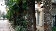 Большая Ялта столкнулась с последствиями подтоплений и селей