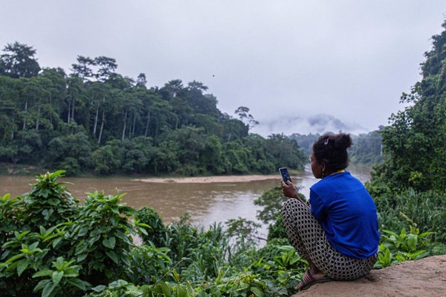 Фото: Annice Lyn / Getty Images