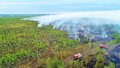 пожар лес лесные пожары МЧС пожарные пожарный 