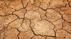 ООН объявила прошедшее десятилетие самым жарким за всю историю наблюдений