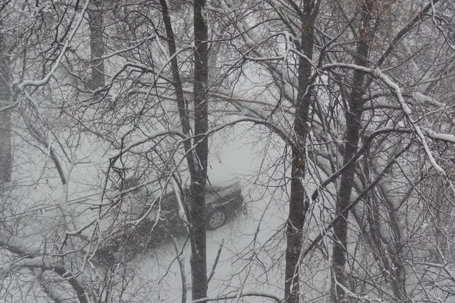 Московские чиновники отстранены от должностей за плохую уборку снега