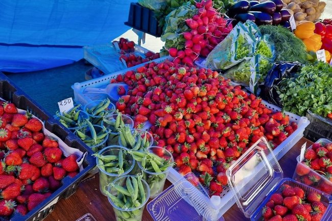 В Нижневартовске дачники смогут продавать овощи и фрукты у городских торговых центров