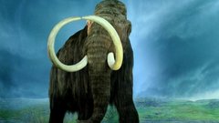 В Минприроды высказались о концепции клонирования мамонтов