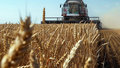 сельское хозяйство сбор урожая урожай фермер пшеница 