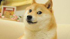 В Японии умерла собака из популярного мема Doge