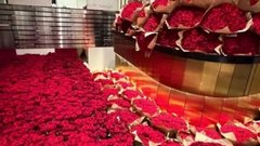 «Это дар для пиковой дамы»: что известно о неожиданном количестве роз в Раменках