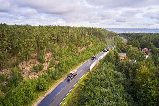 Северный лес в Воронеже благоустроят к середине 2023 года