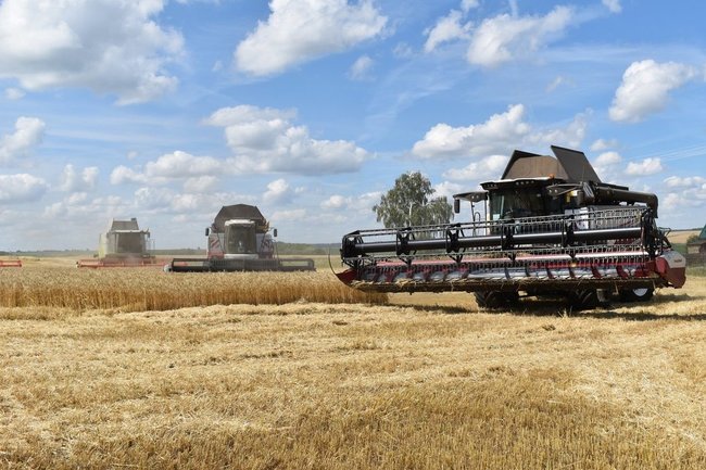 Половина поля засеяна. Поля засеянные пшеницей занимали площадь более. Пшеница макро. Хлебные поля башкортостана. Половина поля засеяна овсом а другая половина пшеницей и рожью.