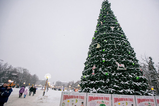 В Нижнем Новгороде в преддверии Нового года установят более 70 елок