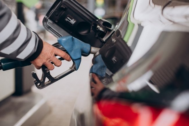 Фото: freepik.com