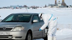 Губернатор Новосибирской области сообщил об изъятии крупного рогатого скота в поселке Козиха