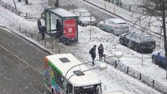 В конце апреля москвичам предсказывают мокрый снег