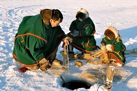 В Надыме накануне соревнований оленеводов откроются две выставки о народах Арктики
