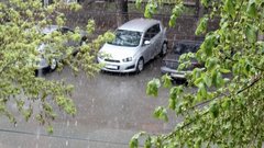 Синоптик Ильин: в Москве предсказывается возможный мокрый снег на этой неделе