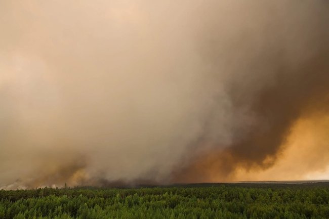 В Югре пожарные борются с 13 природными возгораниями