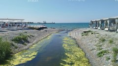 Открытие прорана в Новороссийске: узкий проход между Суджукской лагуной и морем не спасает рыб от гибели
