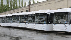 В Воронеже новые автобусы с кондиционером направят на маршруты с высоким пассажиропотоком